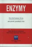 ENZYMY STAVEBNÍ KAMENY ŽIVOTA