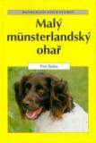 MALÝ MÜNSTERLANDSKÝ OHAŘ