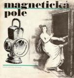 MAGNETICKÁ POLE