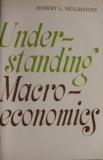 UNDERSTANDING MACROECONOMICS