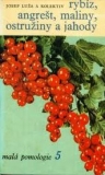 RYBÍZ ANGREŠT MALINY OSTRUŽINY A JAHODY - MALÁ POMPLOGIE 5
