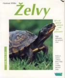 ŽELVY
