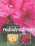 STÁLEZELENÉ RODODENDRONY