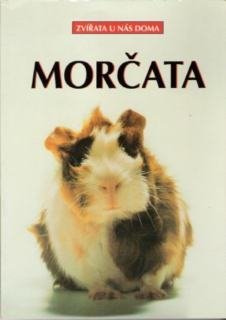 MORČATA - ZVÍŘATA U NÁS DOMA