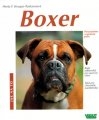 BOXER