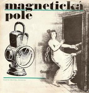 MAGNETICKÁ POLE
