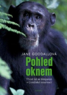 POHLED OKNEM