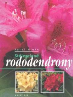 STÁLEZELENÉ RODODENDRONY