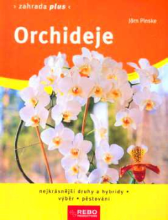 ORCHIDEJE