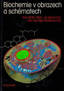 BIOCHEMIE OBRAZECH SCHÉMATECH