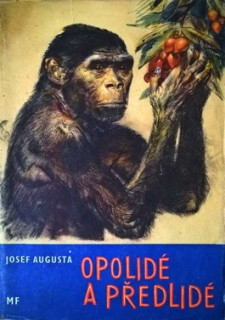 OPOLIDÉ A PŘEDLIDÉ