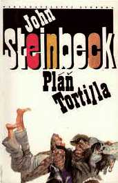 PLÁŇ TORTILLA