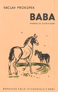 BABA - ROMÁN ZE ŽIVOTA KONÍ