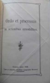 ORDO ET PROCESSUS IN ACTIONIBUS SYNODALIBUS