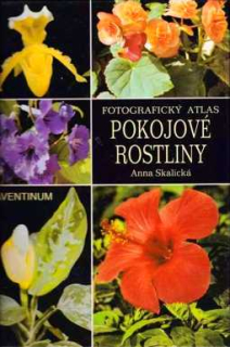 POKOJOVÉ ROSTLINY