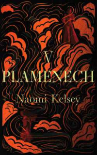 V PLAMENECH