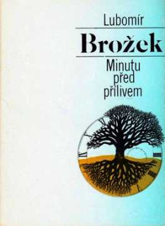 MINUTU PŘED PŘÍLIVEM