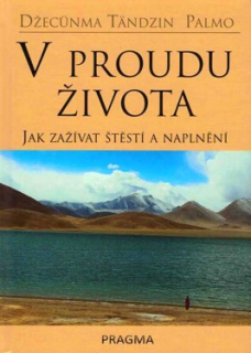 V PROUDU ŽIVOTA