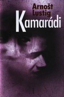 KAMARÁDI