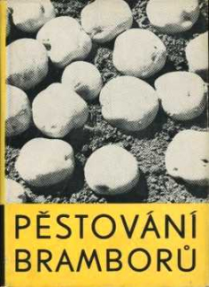PĚSTOVÁNÍ BRAMBORŮ