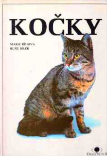 KOČKY
