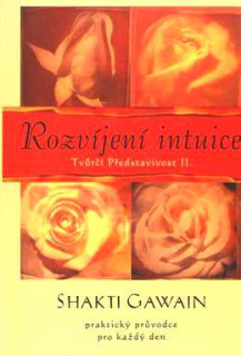 ROZVÍJENÍ INTUICE