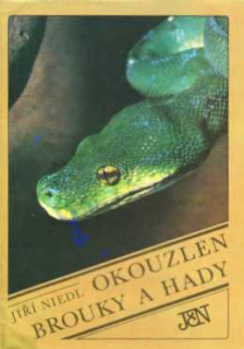 OKOUZLEN BROUKY A HADY