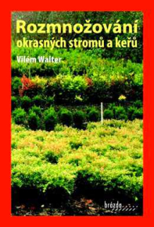 ROZMNOŽOVÁNÍ OKRASNÝCH STROMŮ A KEŘŮ