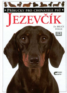 JEZEVČÍK