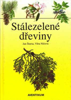 STÁLEZELENÉ DŘEVINY