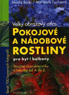 POKOJOVÉ A NÁDOBOVÉ ROSTLINY