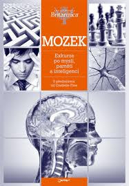 MOZEK - PRŮVODCE PO ANATOMII MOZKU A JEHO FUNKCÍCH - BRITANNICA