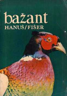 BAŽANT
