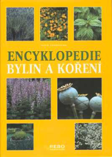 ENCYKLOPEDIE BYLIN A KOŘENÍ